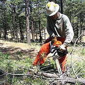 Chainsaw training 