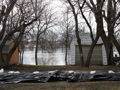 Hought backyard