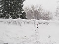 Snow-covered dike