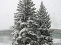 Larger view