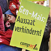 A sign protesting genetically-modified corn 