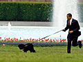 Obama and Bo