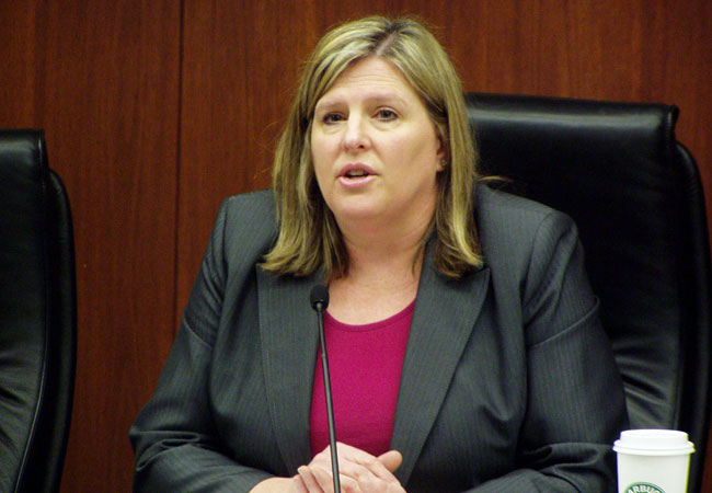 In this photo from 2009, Rep. Ann Lenczewski, DFL-Bloomington, chairwoman of the House Taxes Committee, speaks on the House floor. In a hearing Tuesday, Lenczewski said she has deep concerns about financing a plan to provide $500 million to help Mayo Clinic expand in Rochester.