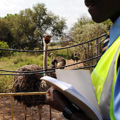 A security guard in a farm in South Africa 