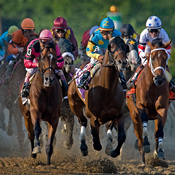 Horses race at the 133rd Preakness 