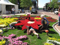 Under the flowers