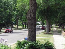 Larger view