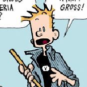 From the comic strip 