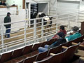 The auction ring