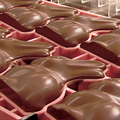 A mold for Lindt chocolate bunnies 