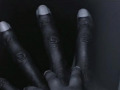More Than Just Race