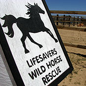 Sign for Lifesavers Wild Horse Rescue Center 