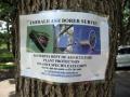 Ash borer sign