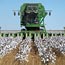 Cotton stripping machine