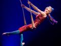 cirque du soleil