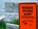 Invasive species alert
