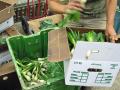 Sorting produce