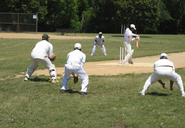 the game of cricket