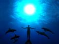 The Cove