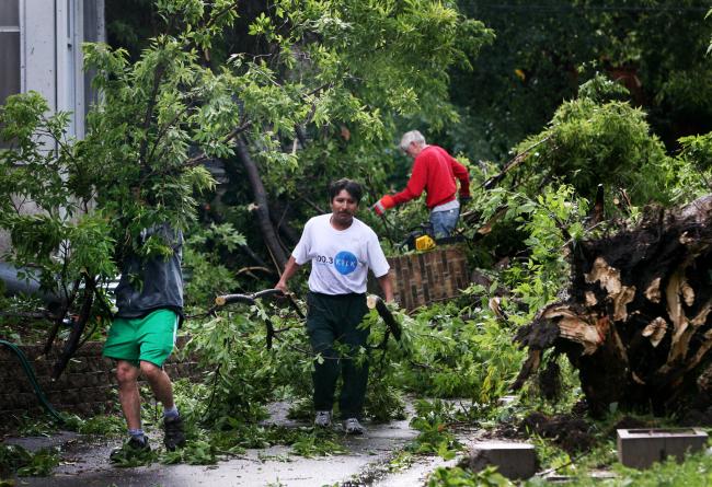 Saul Landa, left, and Delfino Aparicio help Eemmtt Winter as they clear debris from a down tree in Minneapolis Wednesday, August 19, 2009.
