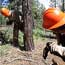 Coconino Rural Environment Corps members