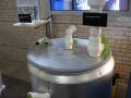 Anaerobic digester model
