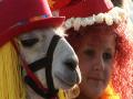 Llamas in costume