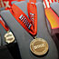 Netflix Prize medal
