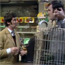 Monty Python's famous