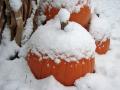Snow on the pumpkins