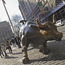 Wall Street's