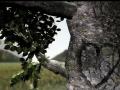 Motionpoem