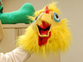 Chicken costume