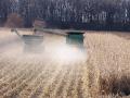 Harvesting corn