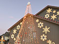 Holiday Lights