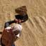 A Nepalese farmer winnows rice