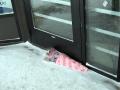 Larger view