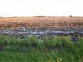 Leaking manure
