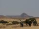 Namibian landscape