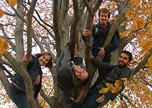 Larsons in a tree