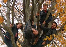 Larsons in a tree