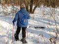 Snowshoeing