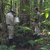 Biologist Ricardo da Britez measures stored carbon 