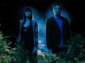 Phantogram
