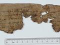 The Community Rule Scroll