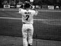 Spring training in Ft. Myers