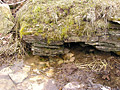 Larger view