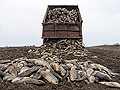 Larger view