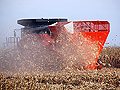 Corn Cob Ethanol
