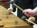 Marimba movement